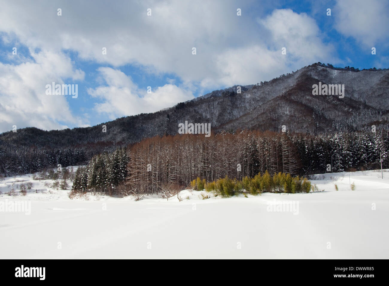 Paesaggio invernale, Fukushima Prefettura, Giappone Foto Stock