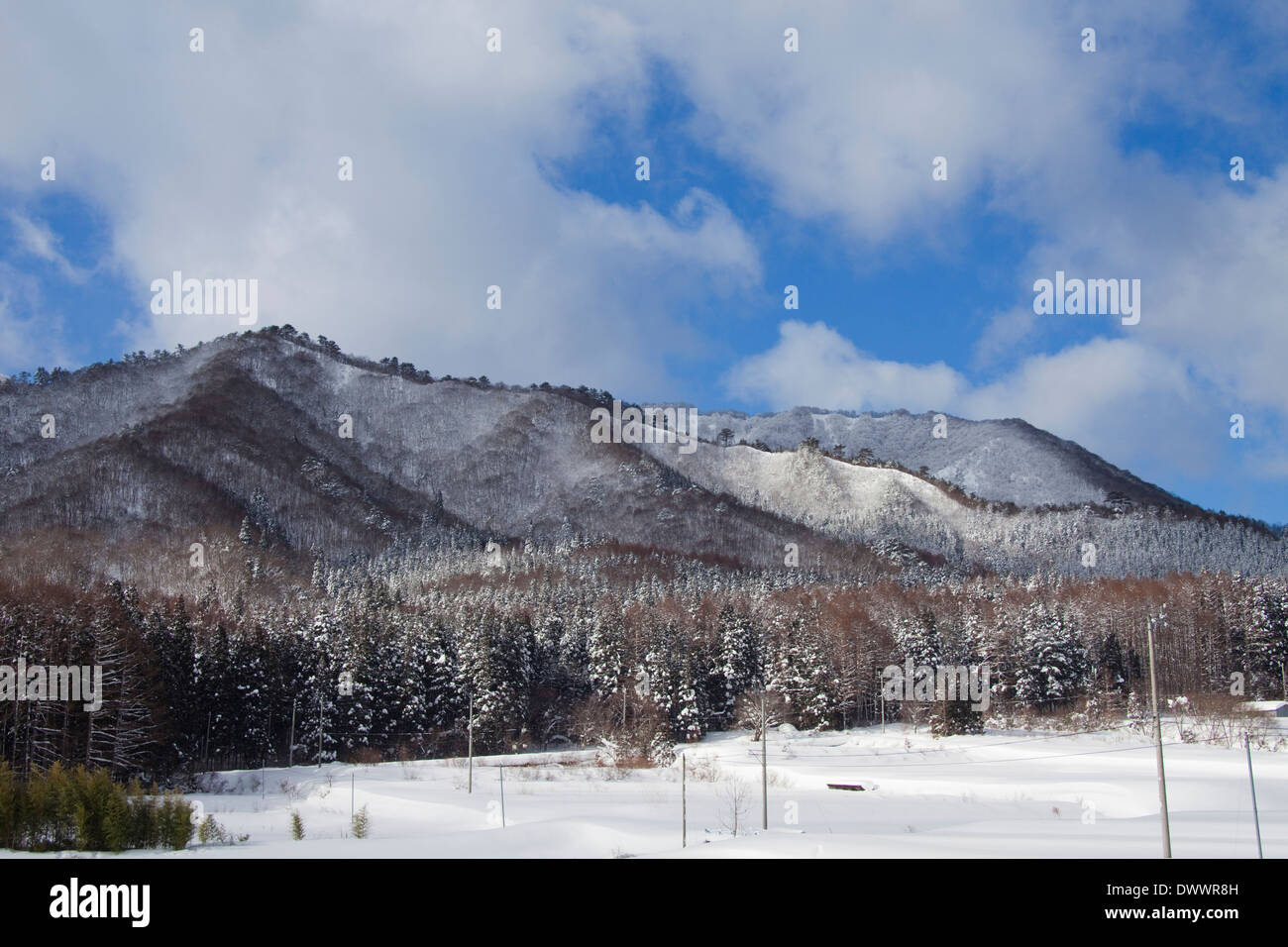 Paesaggio invernale, Fukushima Prefettura, Giappone Foto Stock