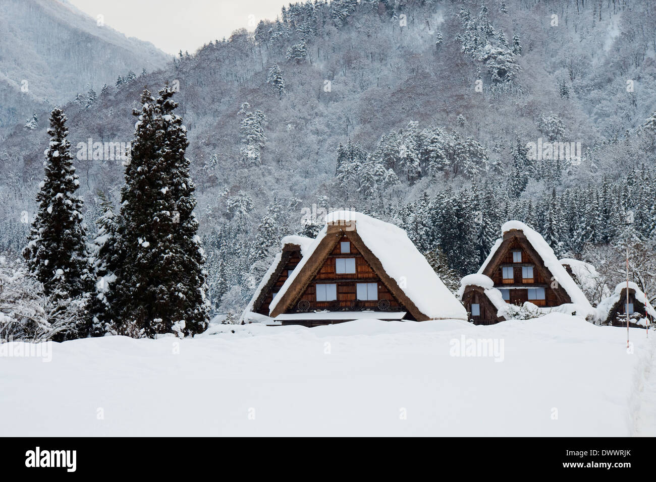Vecchie case nel villaggio di Shirakawa in inverno, Prefettura di Gifu, Giappone Foto Stock Vecchie case nel villaggio di Shirakawa in inverno, Prefettura di Gifu, Giappone Foto Stock
