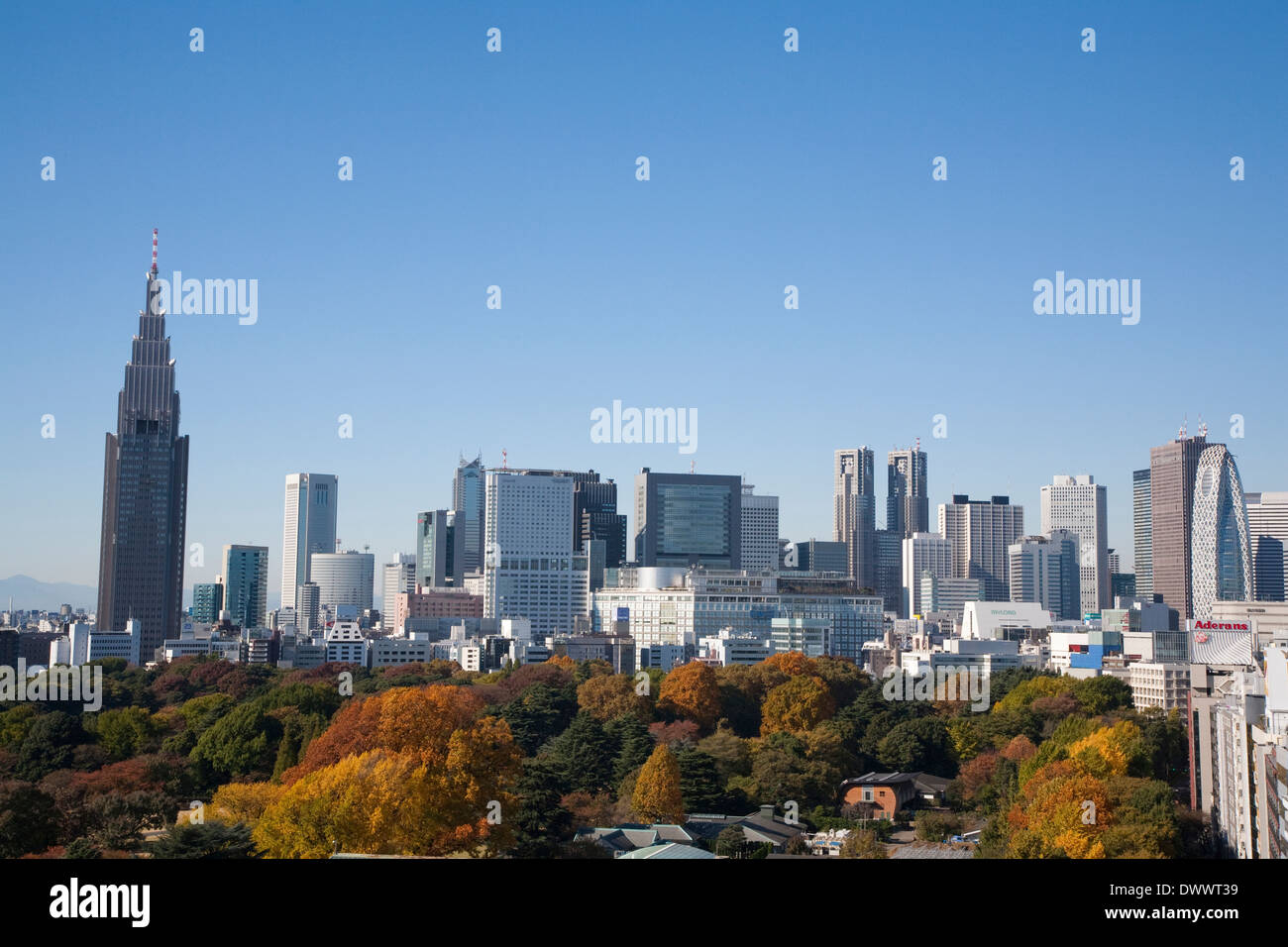 Shinjuku Gyoen Park in autunno, Tokyo, Giappone Foto Stock