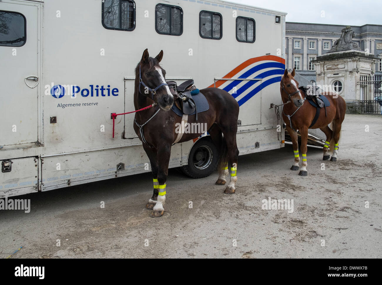 I cavalli della polizia Foto Stock