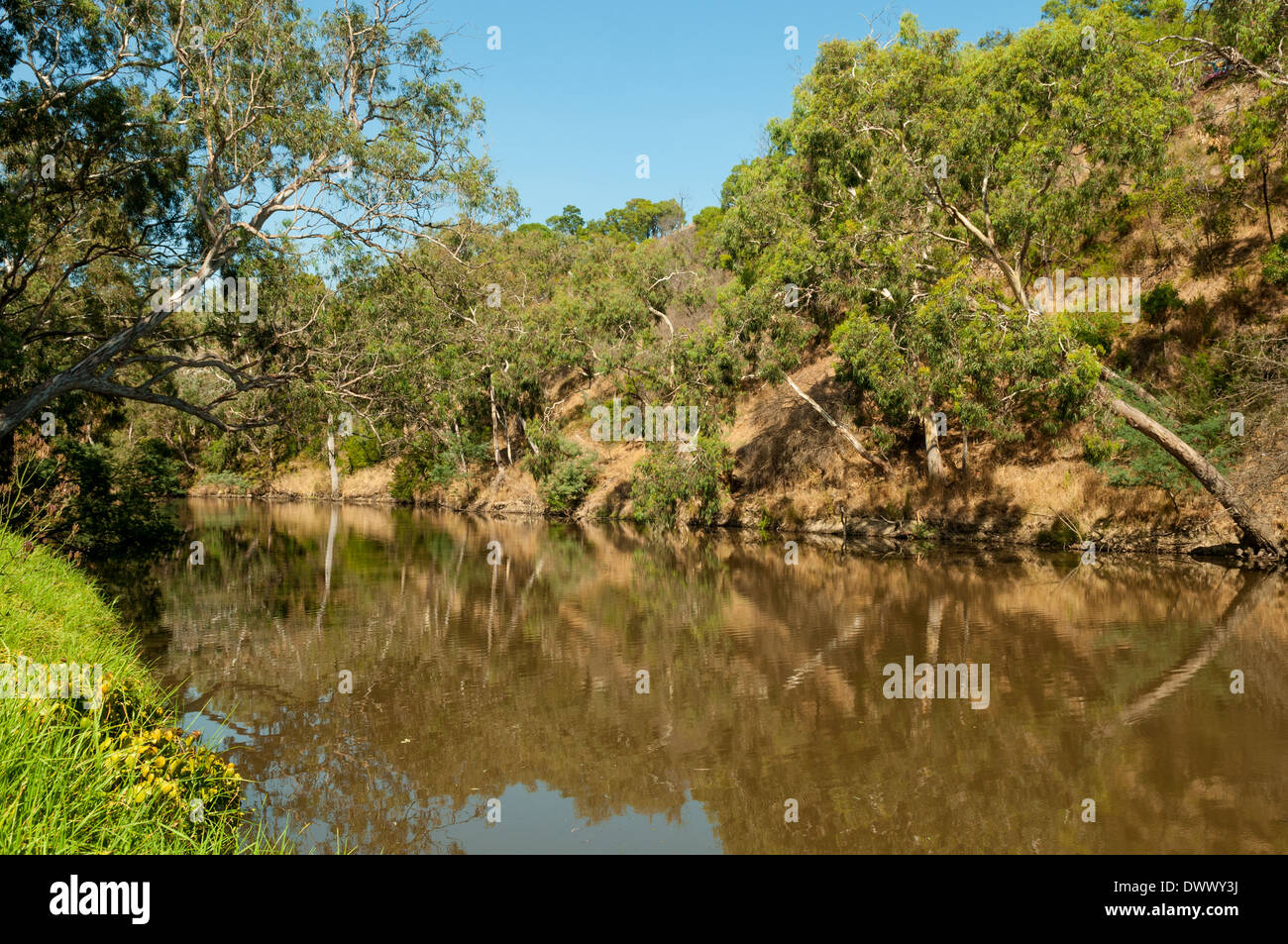 Fiume Yarra nella Yarra Bend, Kew, Melbourne, Victoria, Australia Foto Stock