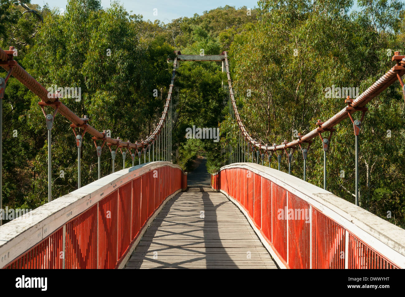 Ponte Kanes, Yarra Bend Park, Kew, Melbourne, Victoria, Australia Foto Stock