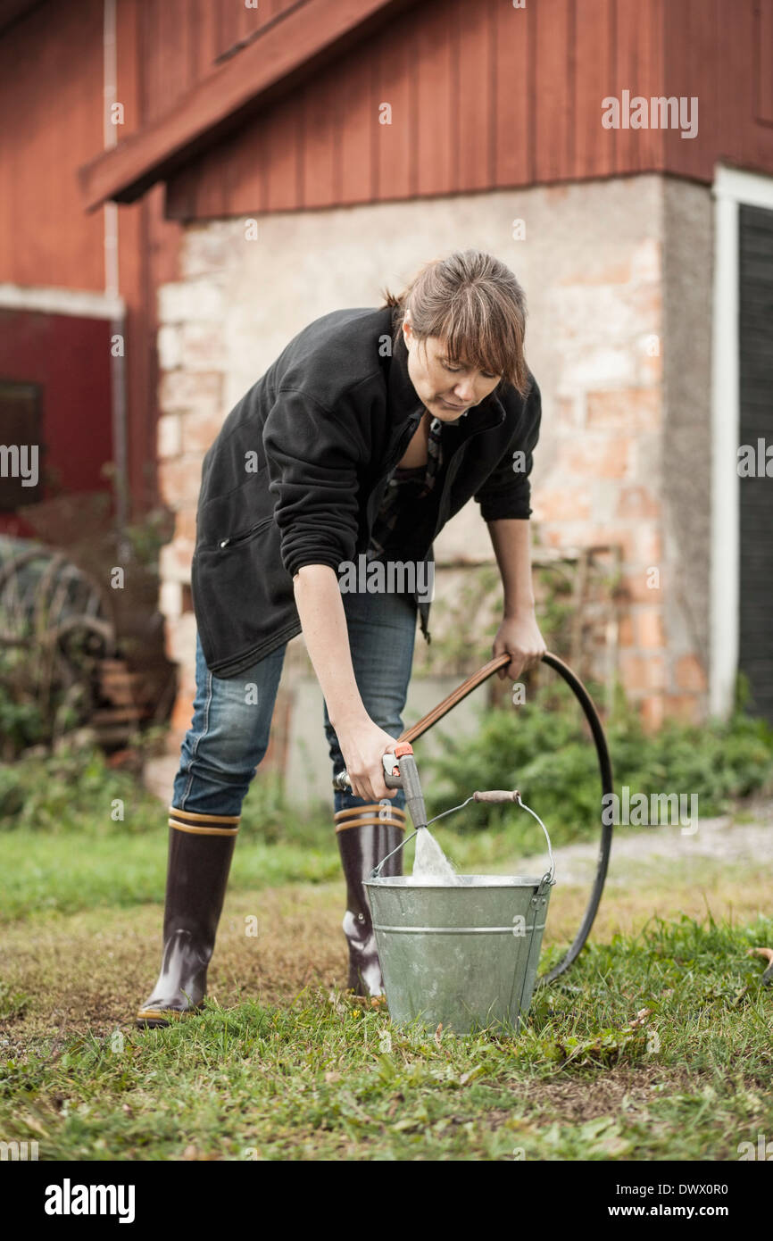 Per tutta la lunghezza della donna acqua di riempimento con il tubo flessibile a livello di azienda Foto Stock