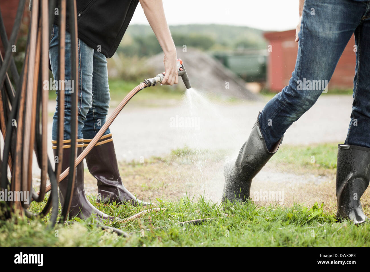 Sezione bassa della donna la spruzzatura di acqua dal tubo flessibile sull'uomo è la gamba in agriturismo Foto Stock