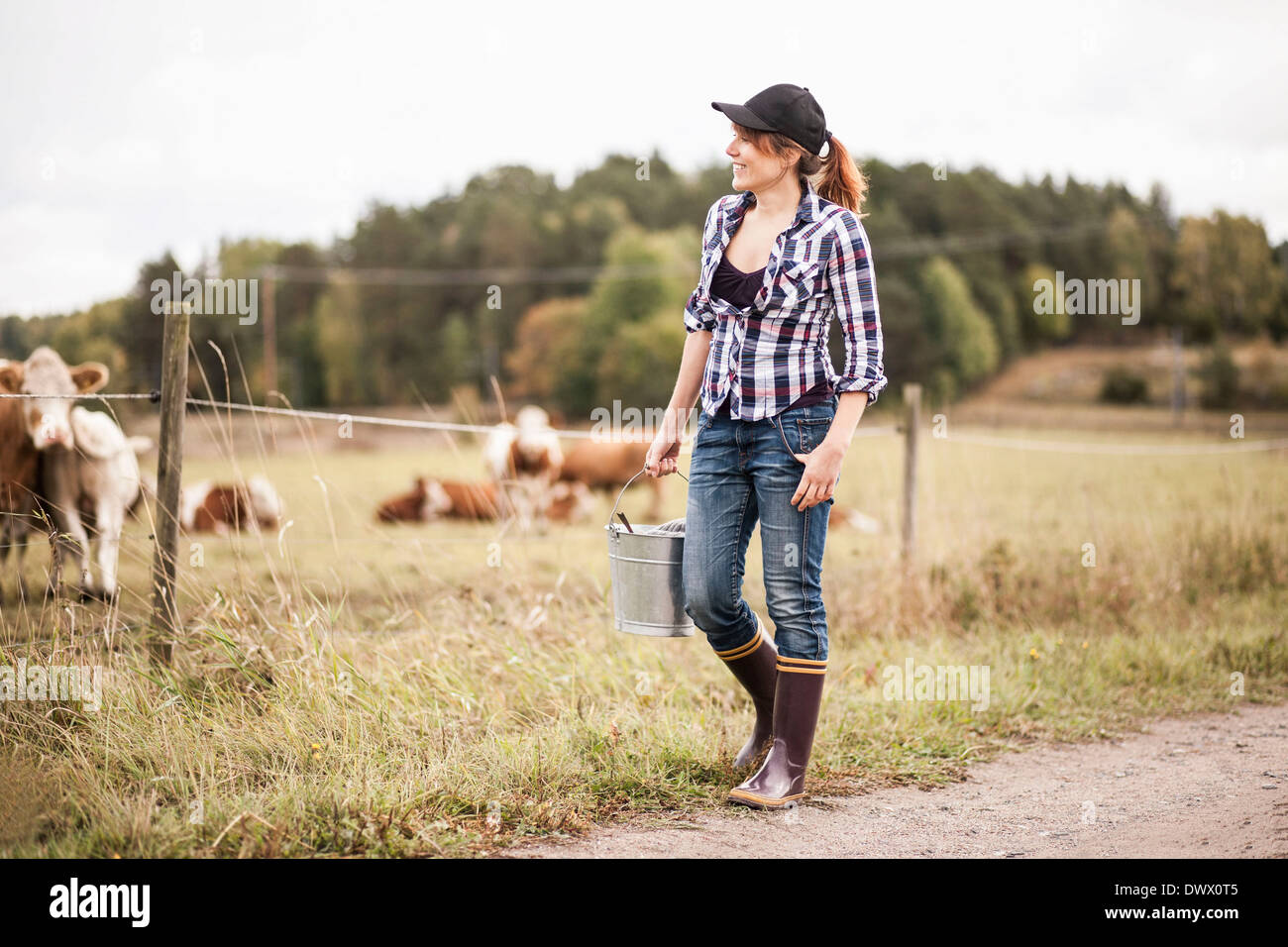 L'agricoltore femmina con benna a piedi mentre gli animali che pascolano nel campo Foto Stock