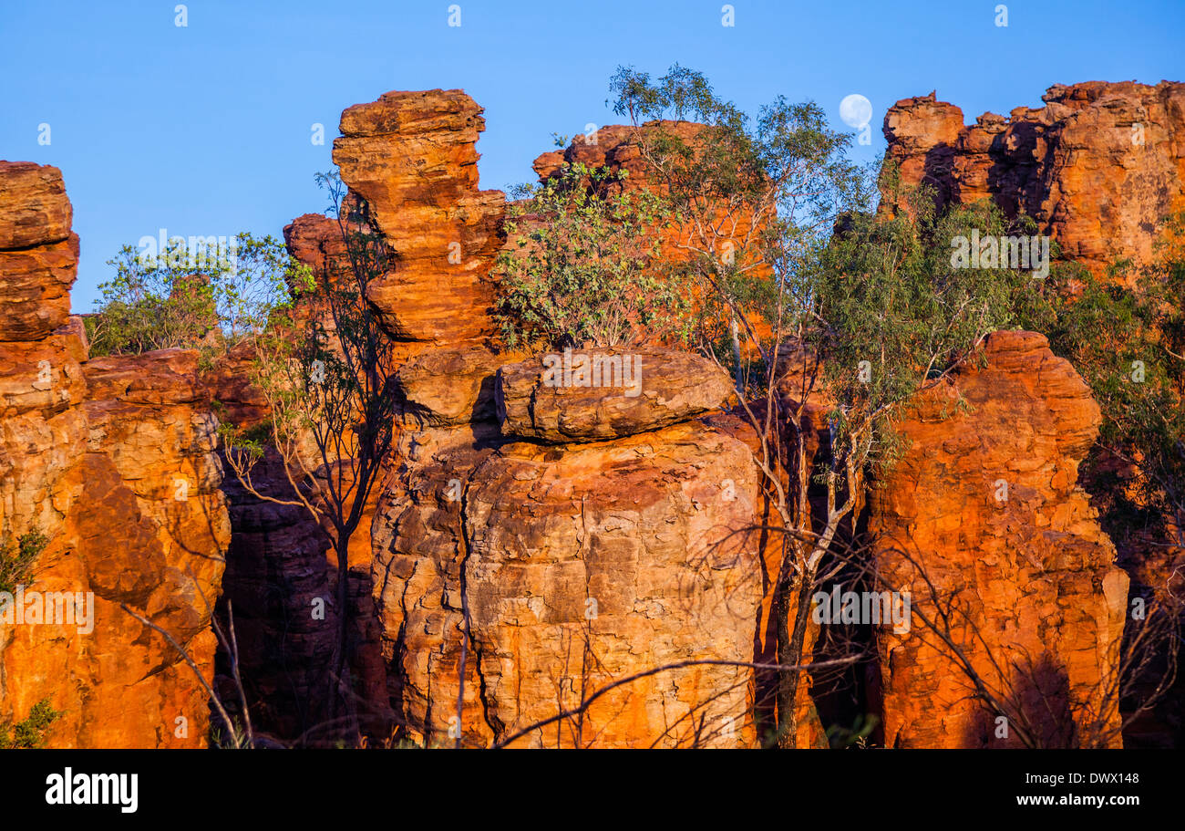 Australia, Territorio del Nord, Limmen National Park, Sud della città perduta, slica vetrato pilastri di pietra arenaria, torri e pinnacoli Foto Stock