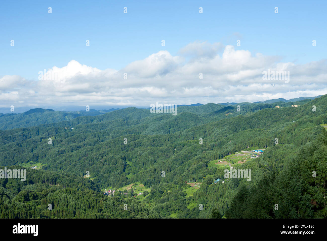 Gamma Togakushi, Nagano, Giappone Foto Stock