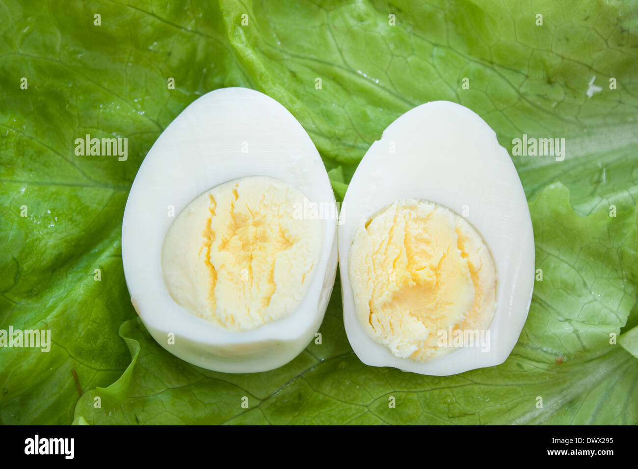 Uovo sodo diviso a metà la lattuga closeup tagliati a fette Foto Stock