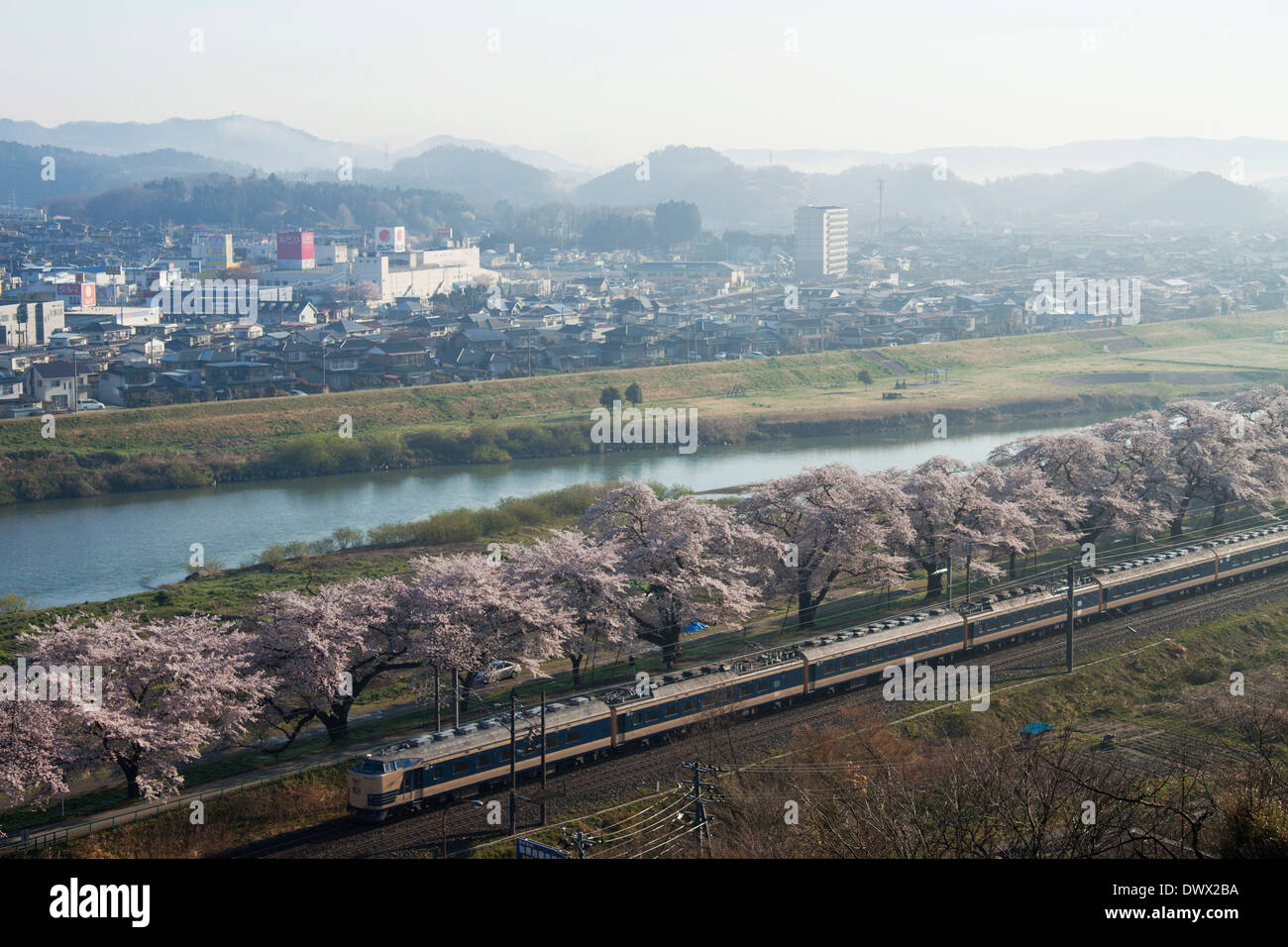 Treno in movimento lungo il fiume Shiroishi e ciliegi, Miyagi, Giappone Foto Stock