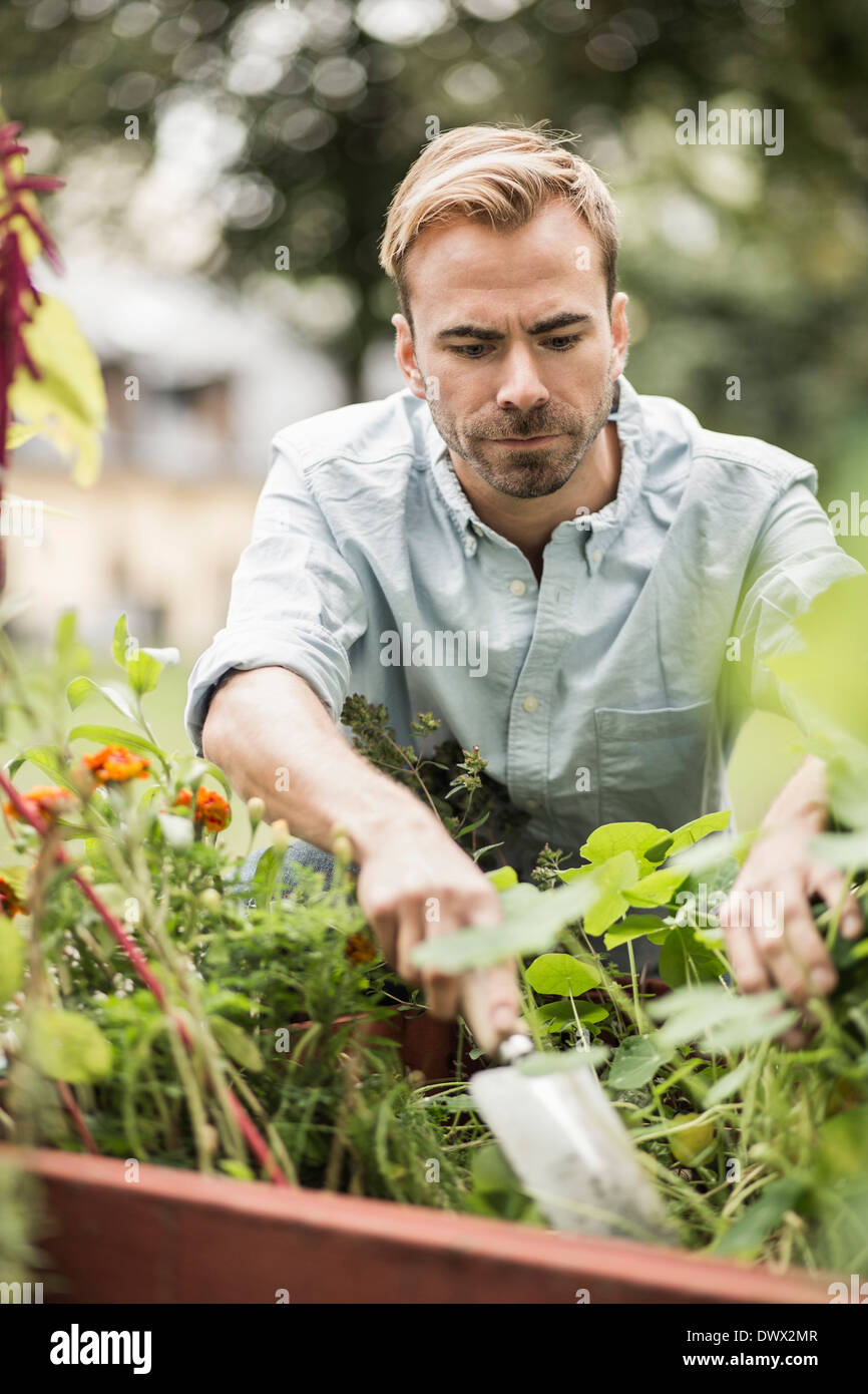 Metà uomo adulto il giardinaggio all'aperto Foto Stock