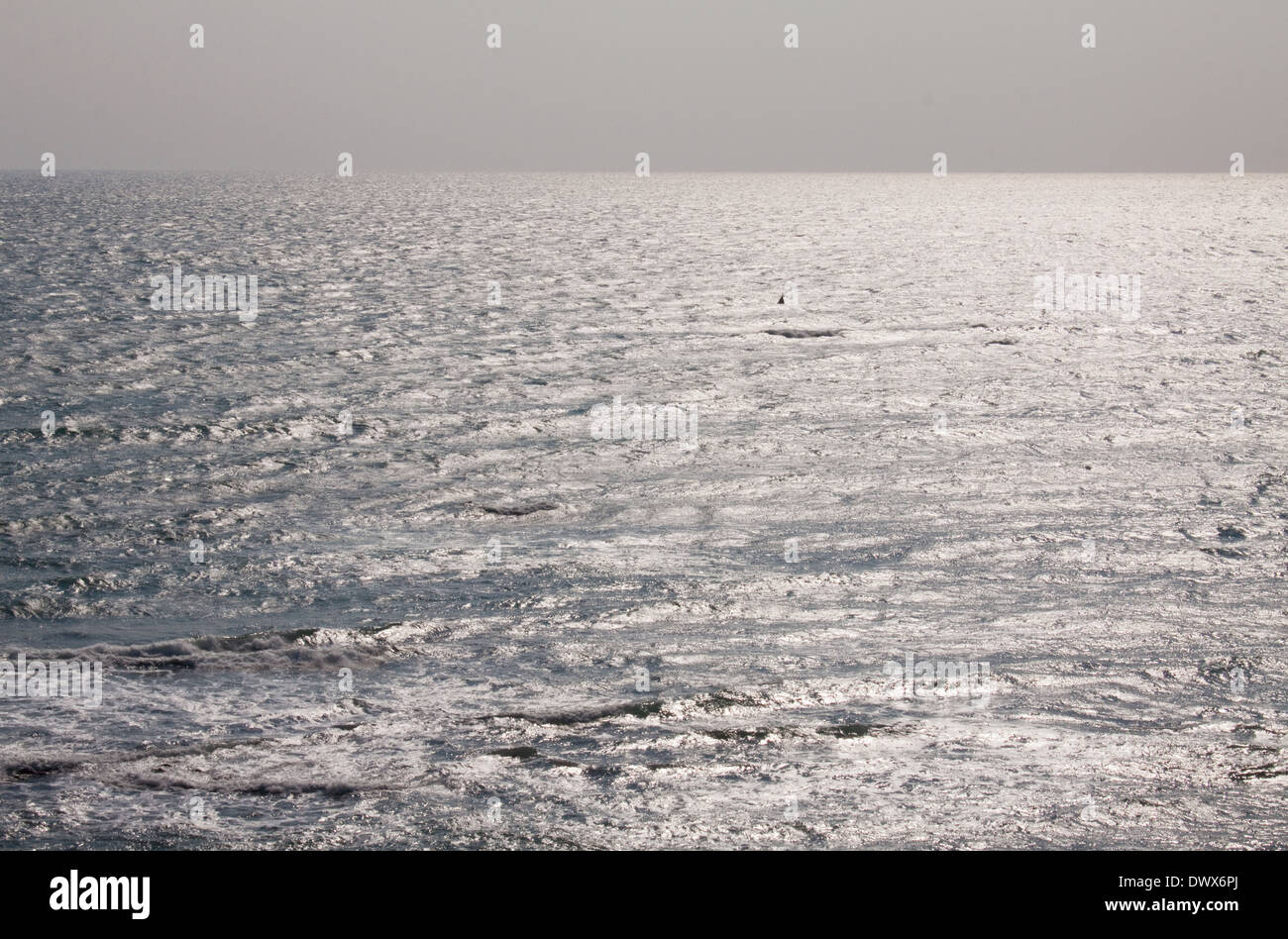 Il mare al largo di estuario Helford Cornwall, Inghilterra Foto Stock