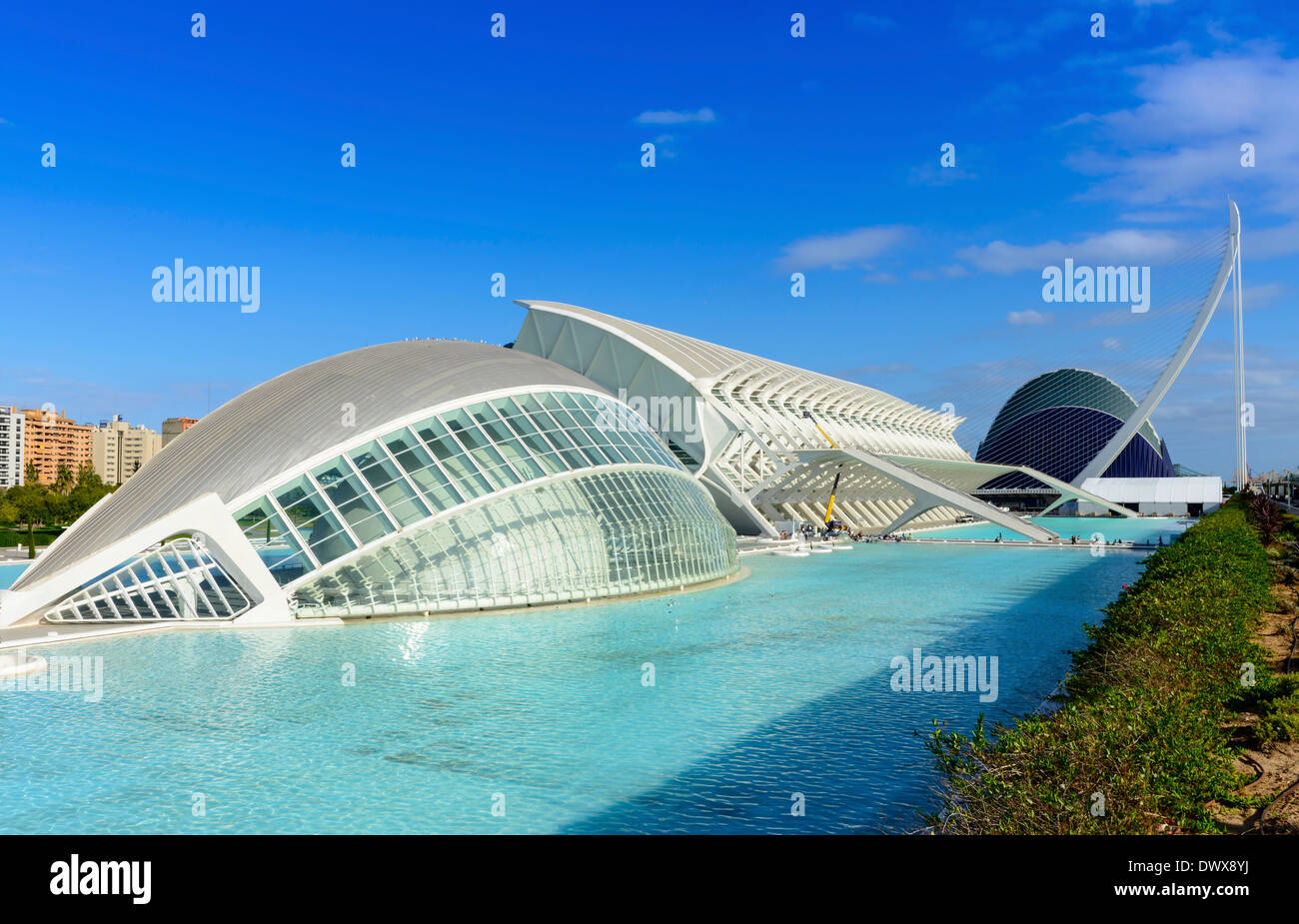 Città delle arti e della scienza plus oceanografo, Valencia, Spagna Foto Stock