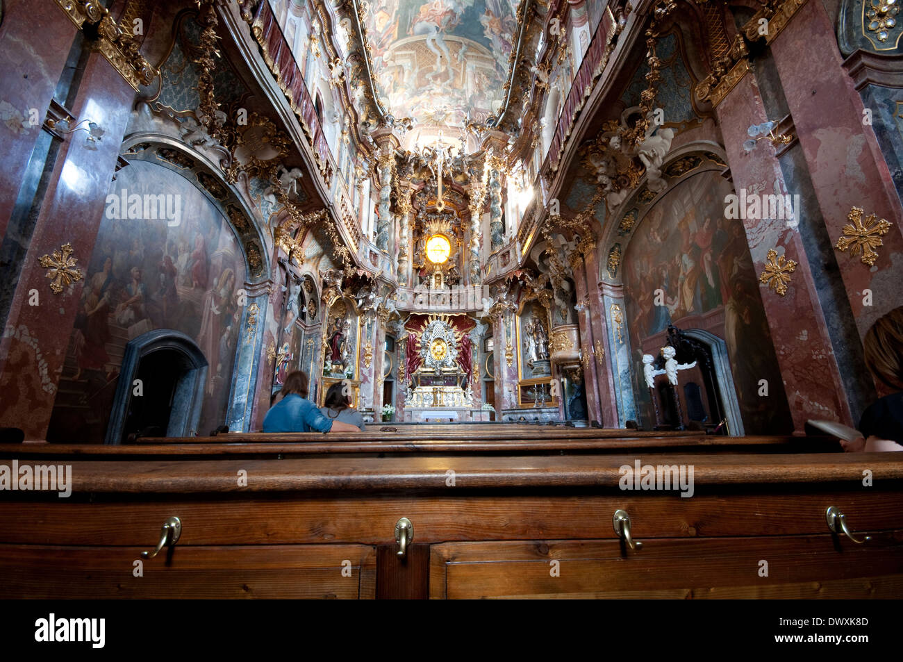 In Germania, in Baviera, Monaco di Baviera, Asamchurch Johann Nepomuk Chiesa Foto Stock