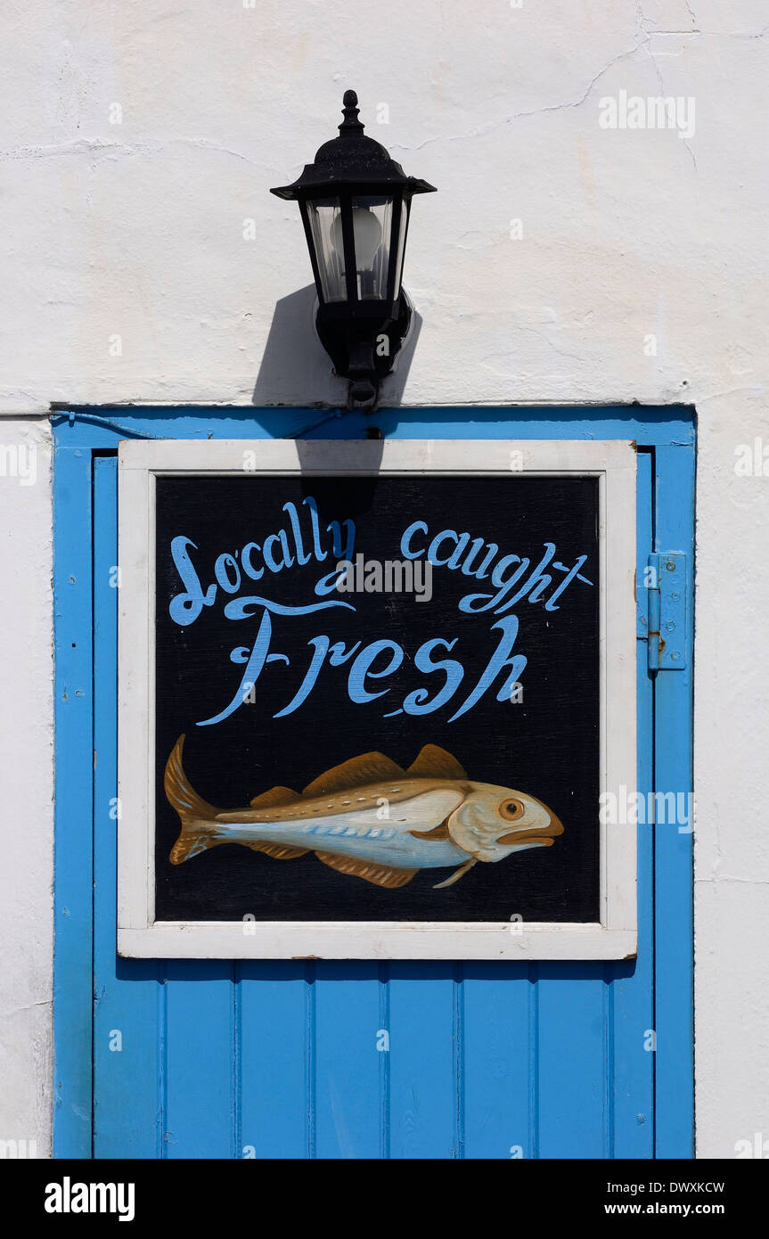 Dipinto a mano pesce di mare shop segno. Hastings. East Sussex. Regno Unito Foto Stock