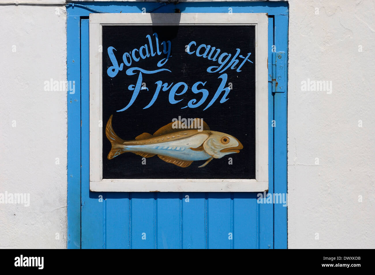 Dipinto a mano pesce di mare shop segno. Hastings. East Sussex. Regno Unito Foto Stock