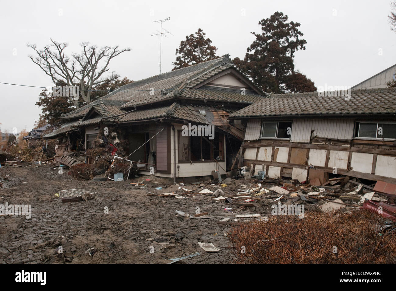 Abitazioni danneggiate dal maremoto, Miyagi, Giappone Foto Stock
