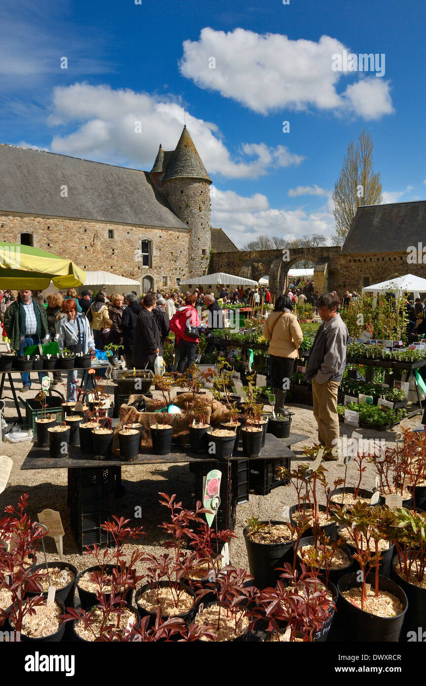 "Journée des Plantes Franco-Britanniques" due giorni dimostrano che celebra i Giardini della Francia e Inghilterra presso il Château de Crosville. Foto Stock