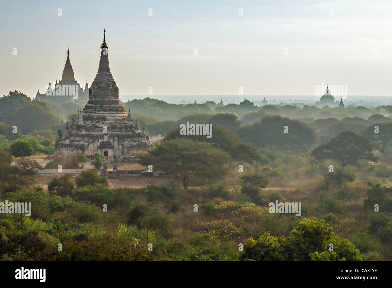 Bagan templi nella nebbia di mattina Foto Stock