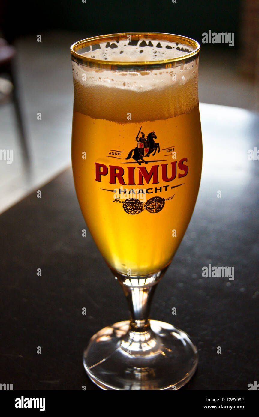 Un vetro stampato di Haacht Primus fiamminga belga pilsner birra lager Foto Stock
