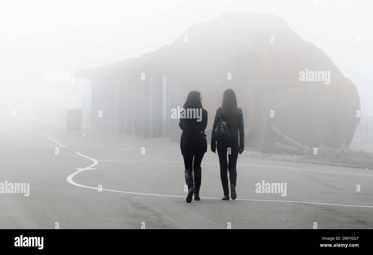 2 donne a piedi lungo una passeggiata nella nebbia. Foto Stock