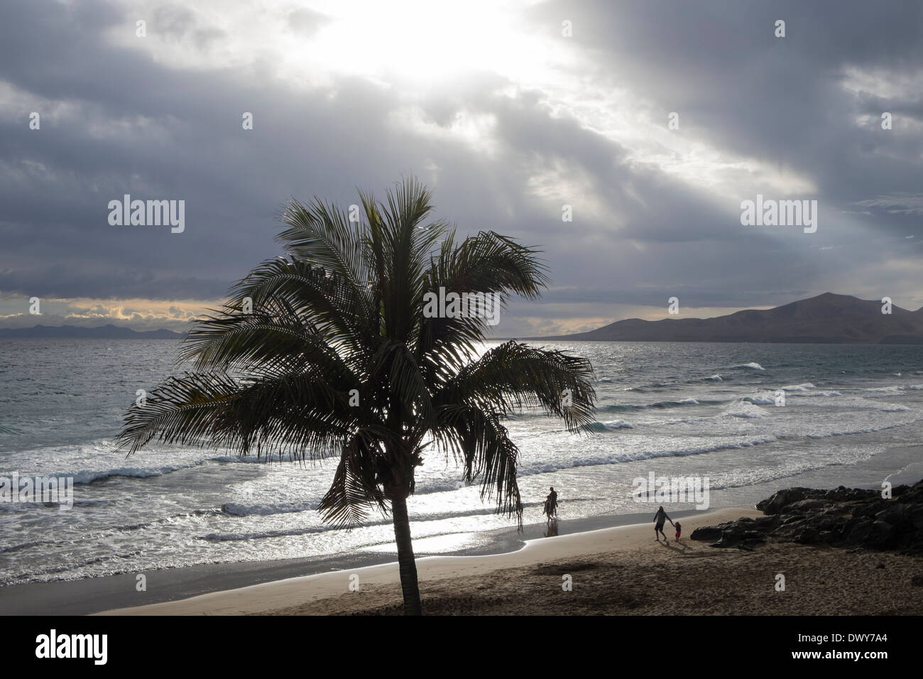 Palm tree stagliano contro il cielo scuro con sun scoppio attraverso il cloud in inverno in Puerto del Carmen, Lanzarote, Isole Canarie Foto Stock