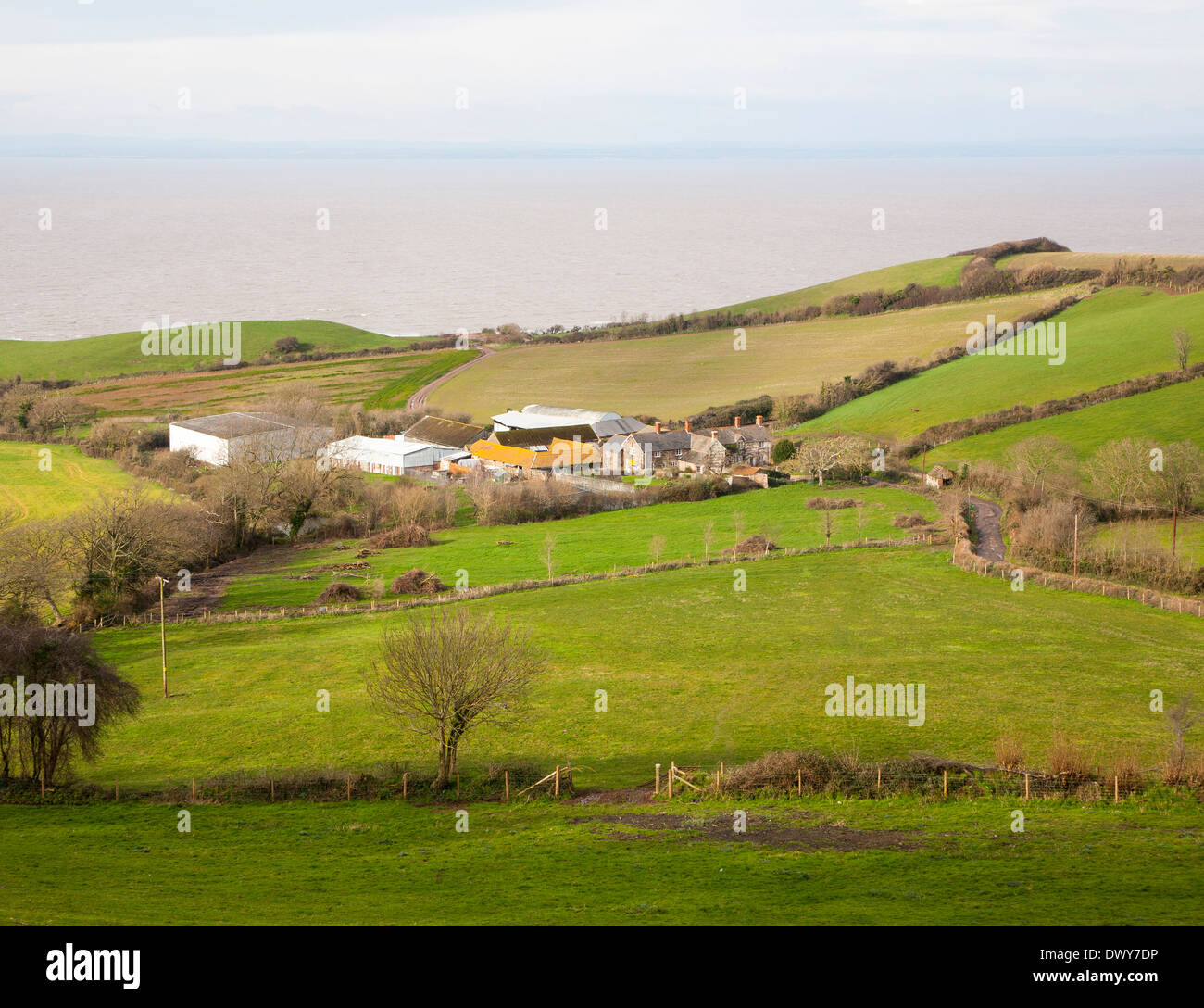 Quantock del paesaggio e del canale di Bristol a Perry agriturismo, West Quantoxhead, Somerset, Inghilterra distanti viste per il Galles Foto Stock Quantock del paesaggio e del canale di Bristol a Perry agriturismo, West Quantoxhead, Somerset, Inghilterra distanti viste per il Galles Foto Stock