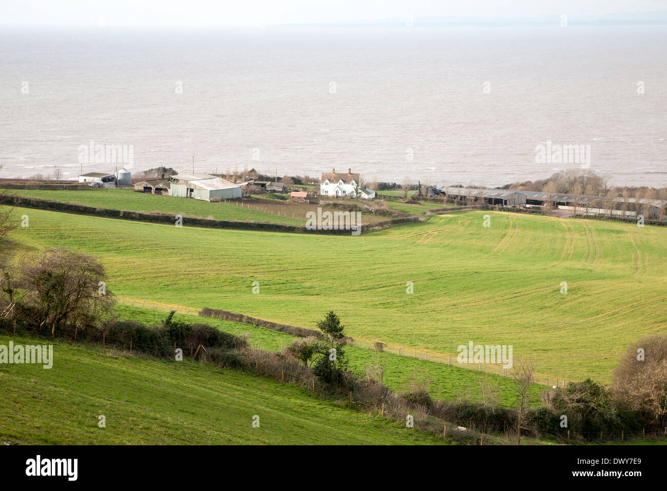 Quantock del paesaggio e del canale di Bristol a West Quantoxhead, Somerset, Inghilterra distanti viste per il Galles Foto Stock Quantock del paesaggio e del canale di Bristol a West Quantoxhead, Somerset, Inghilterra distanti viste per il Galles Foto Stock