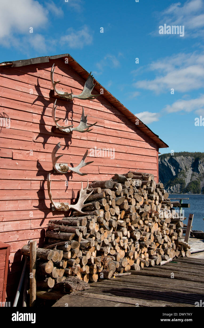 Canada, Terranova, Bonne Bay, Norris punto. Gateway per Parco Nazionale Gros Morne. Waterfront cabina con palo di legno e corna. Foto Stock