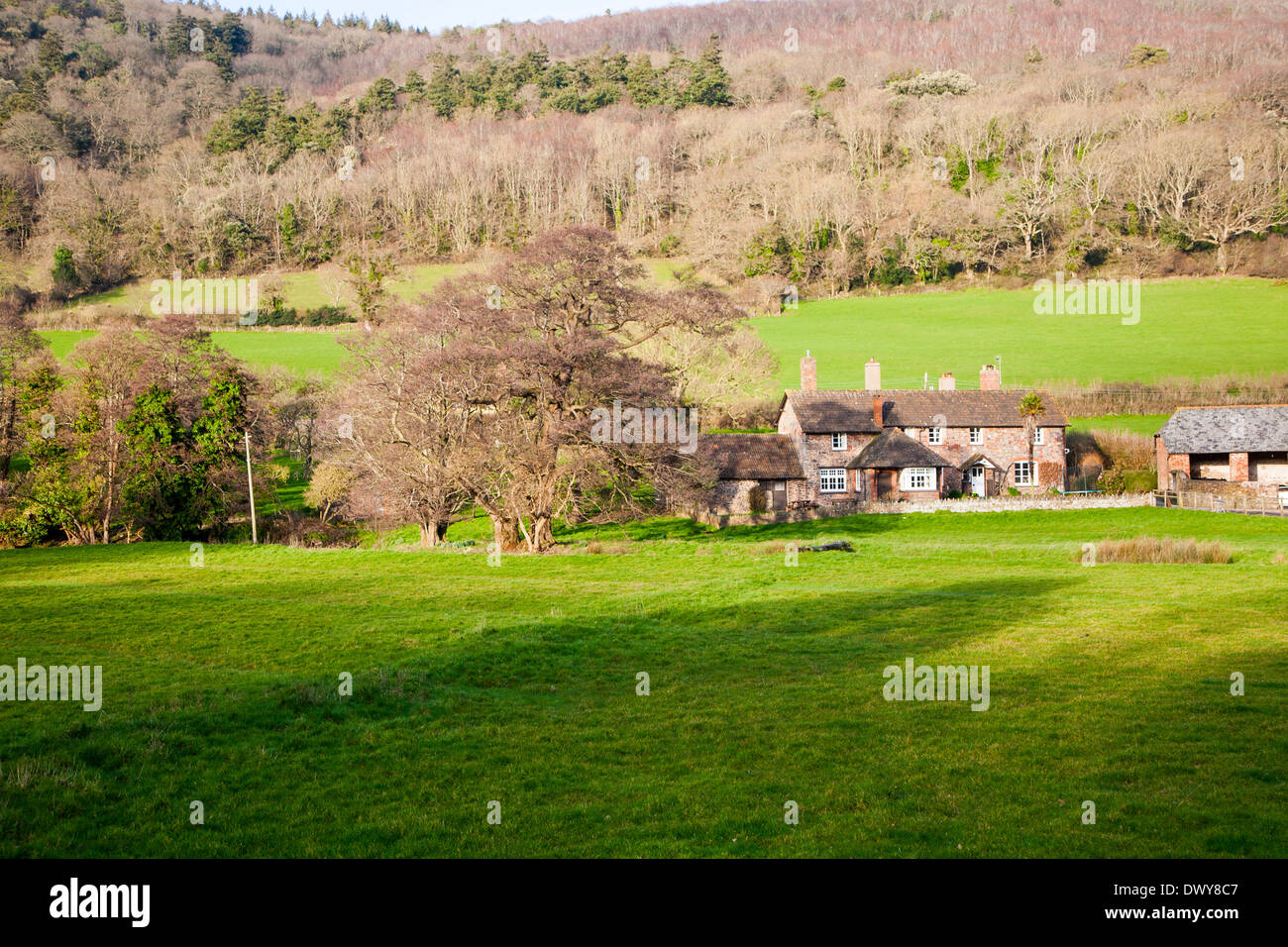 Exmoor podere immerso tra alberi brandire Street borgo, Selworthy, Somerset, Inghilterra Foto Stock