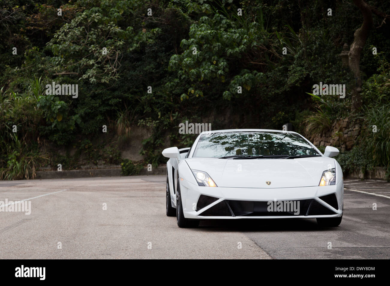 Lamborghini LP560-4 Super Car in colore bianco Foto Stock