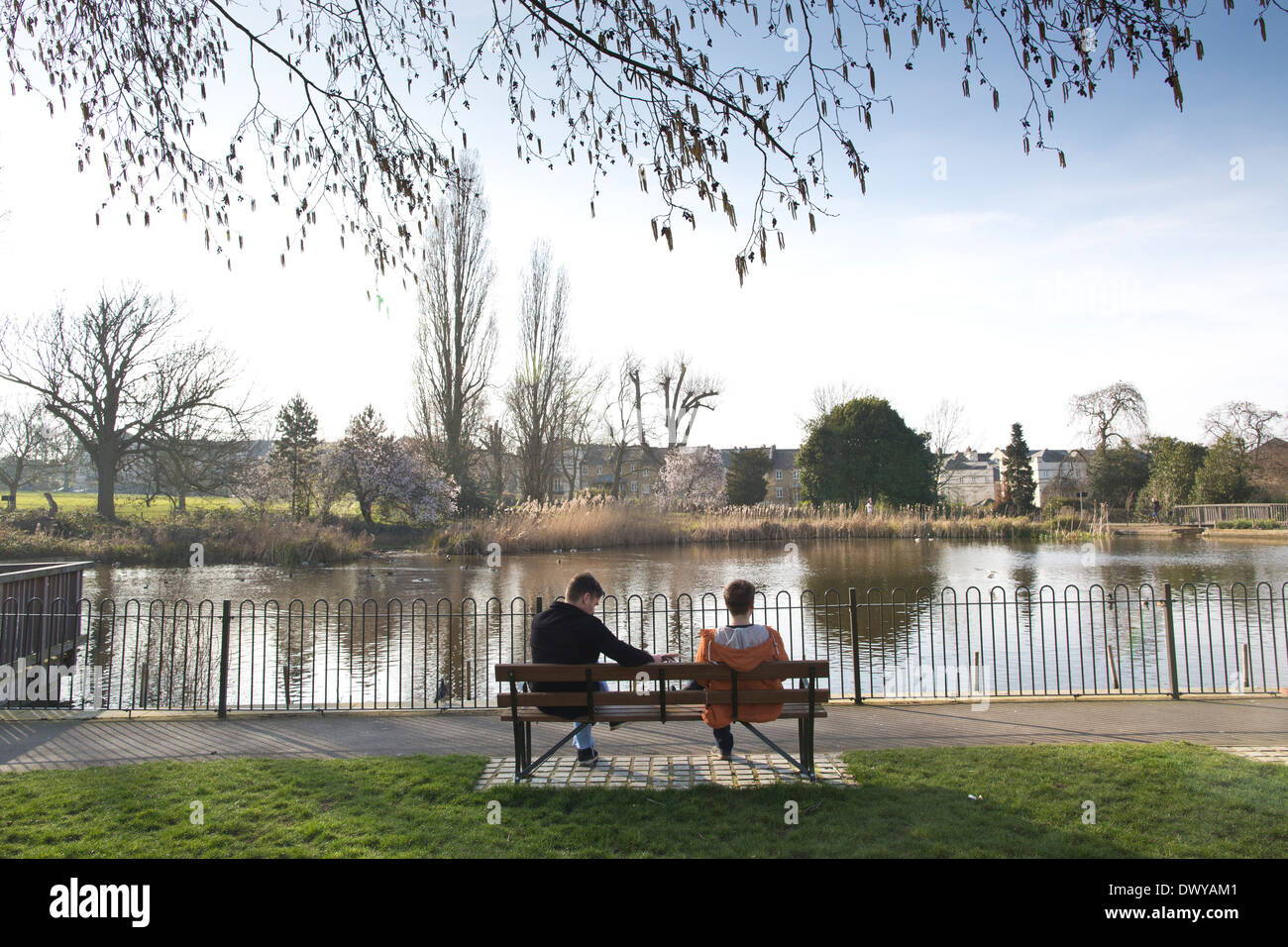 Una delle aree di stagno a Brockwell Park, Lambeth, Londra Sud, dopo essere stato restaurato da parchi per programma Persone, England, Regno Unito Foto Stock