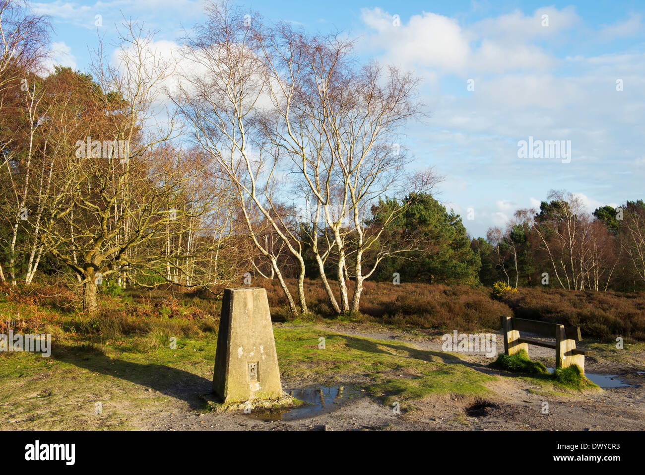 Il punto di innesco a Hesworth vicino comune Fittleworth, West Sussex, Regno Unito Foto Stock