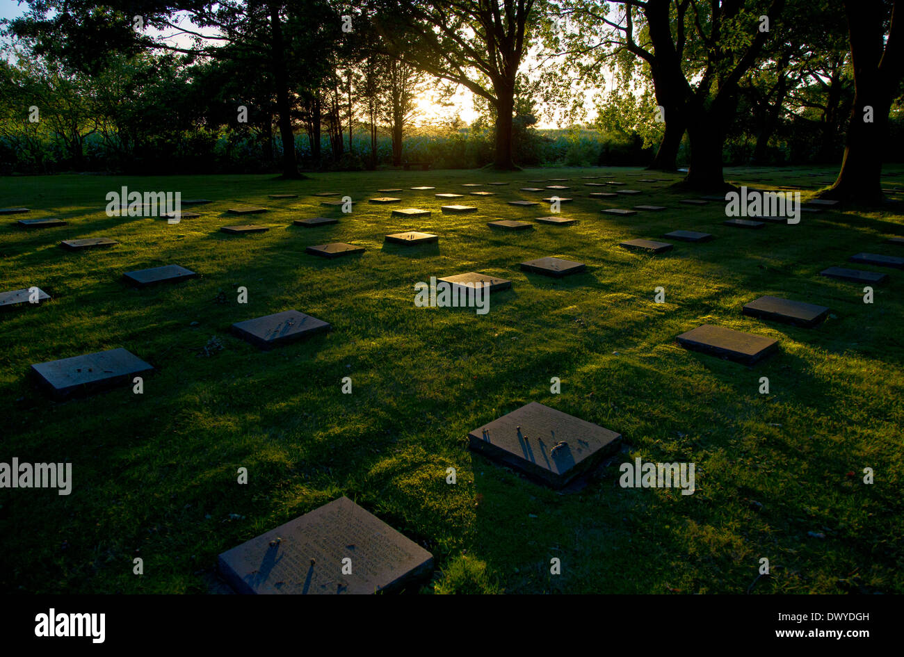 Menen, Belgio, vista su un cimitero militare tedesco Menen Foto Stock