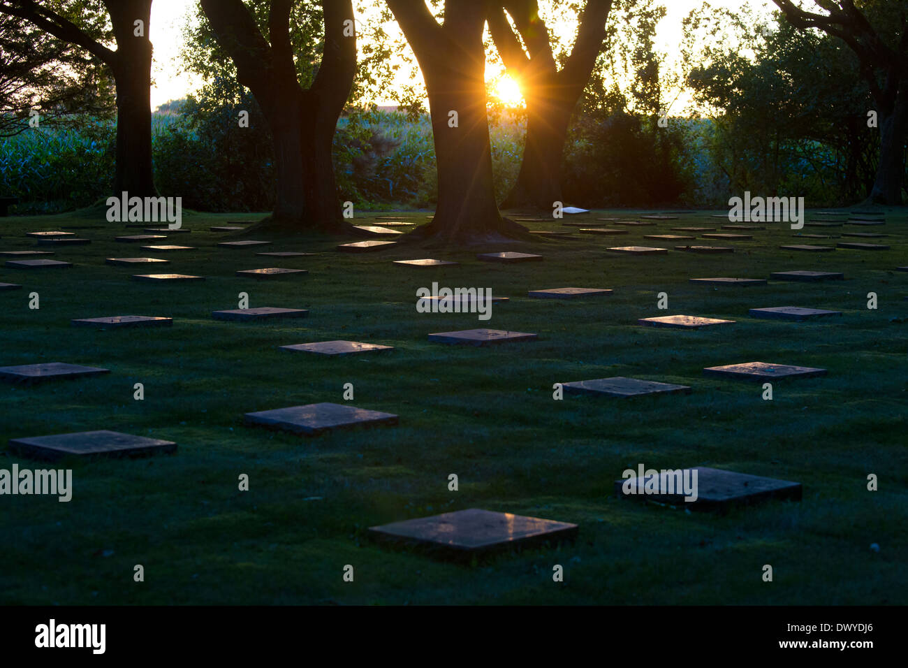 Menen, Belgio, vista su un cimitero militare tedesco Menen Foto Stock