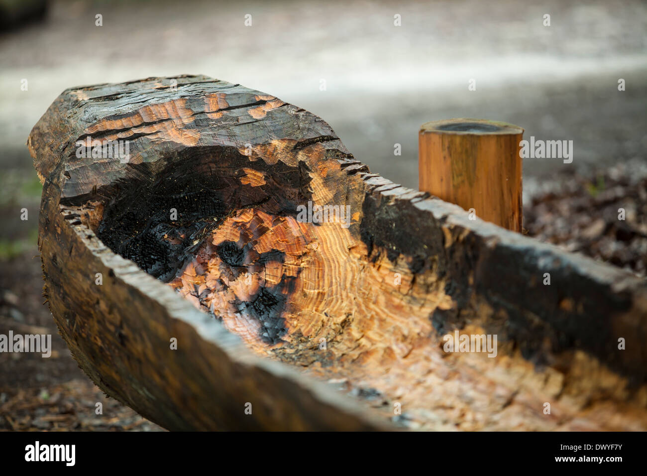 Una replica di un Timucua canoa è raffigurato in Sant'Agostino fontana della giovinezza del Parco Archeologico, Florida Foto Stock