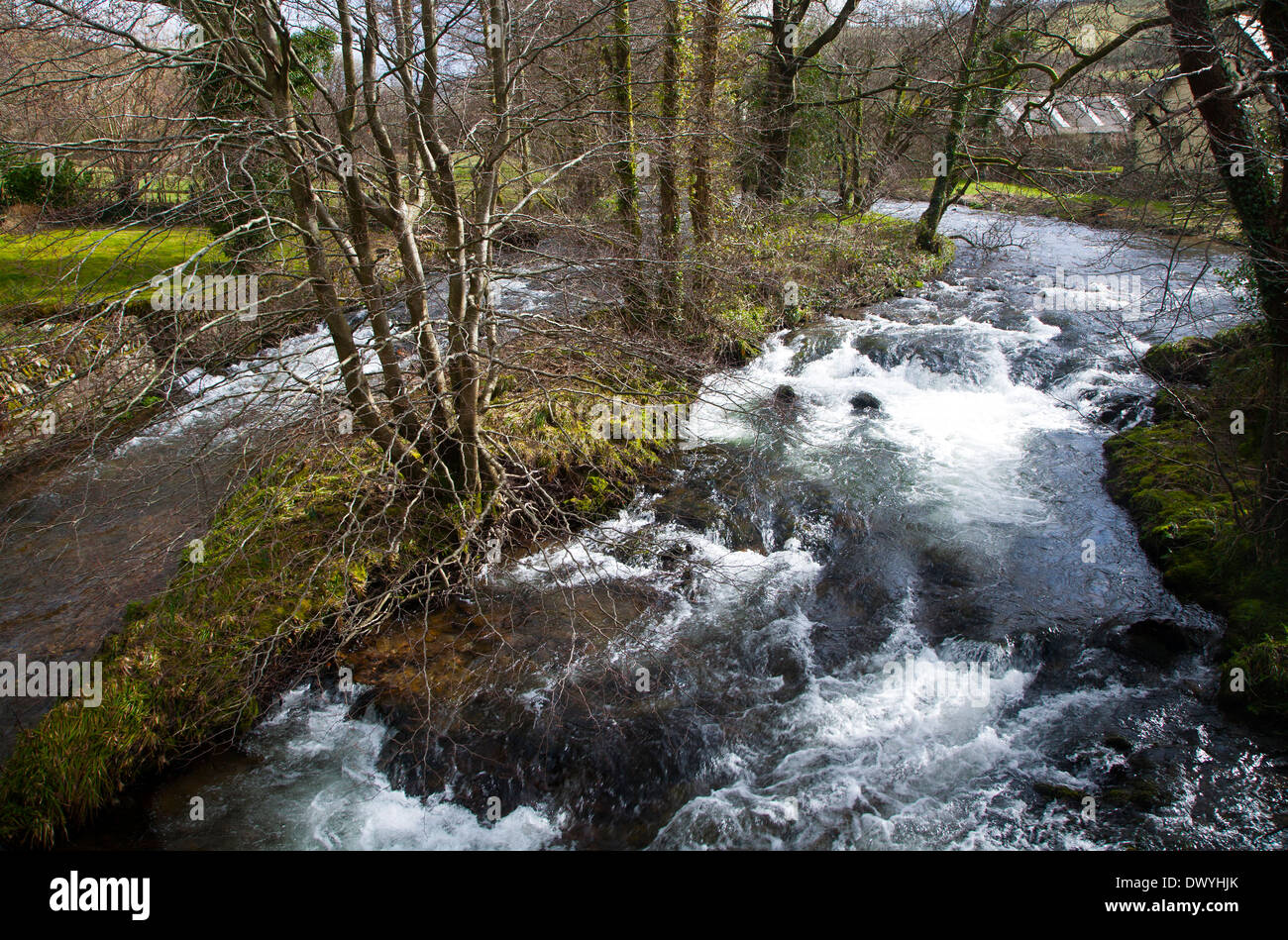 Oriente Lyn River a Brendon, Parco Nazionale di Exmoor, Devon, Inghilterra Foto Stock