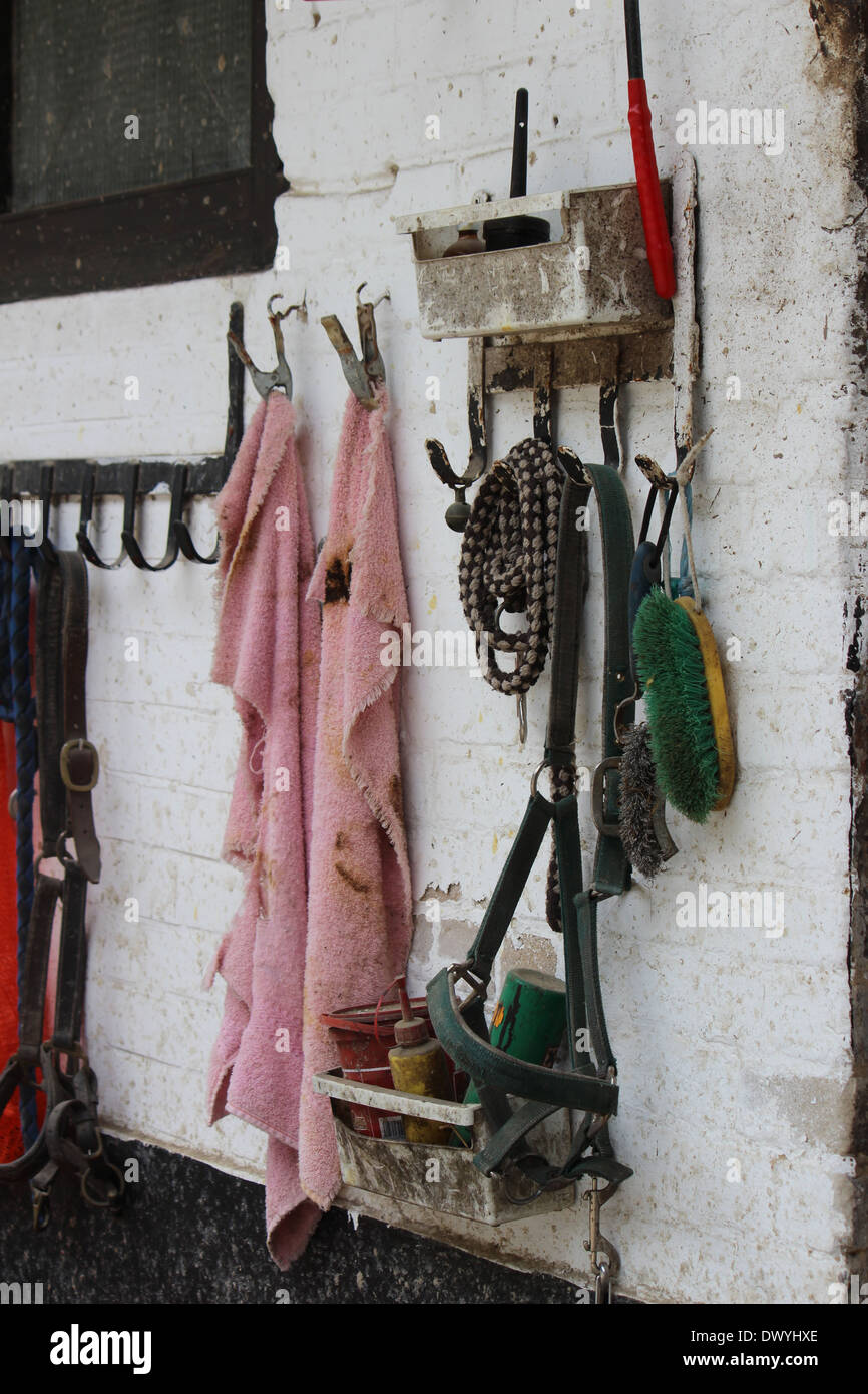 Apparecchiatura del cavallo Foto Stock