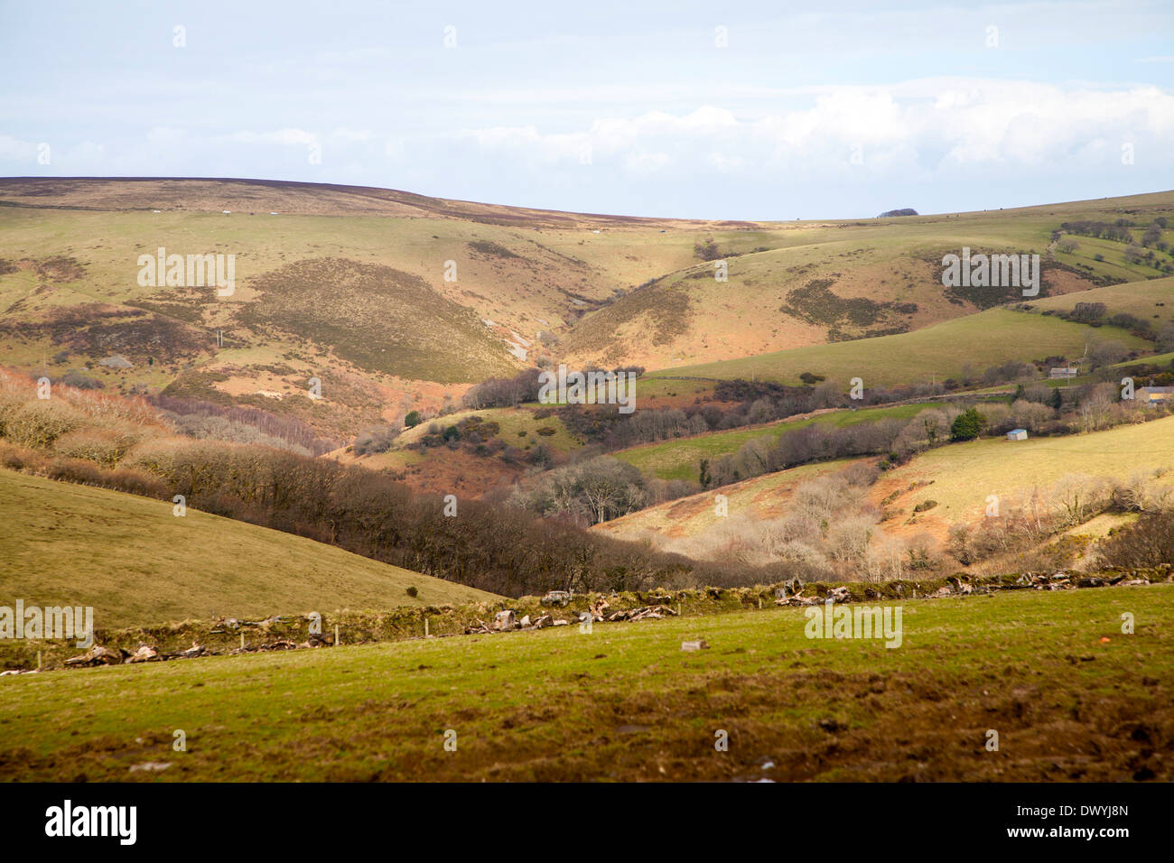 Speroni di incastro affluente valle dell'Oriente Lyn river, Brendon, Parco Nazionale di Exmoor, Devon, Inghilterra Foto Stock