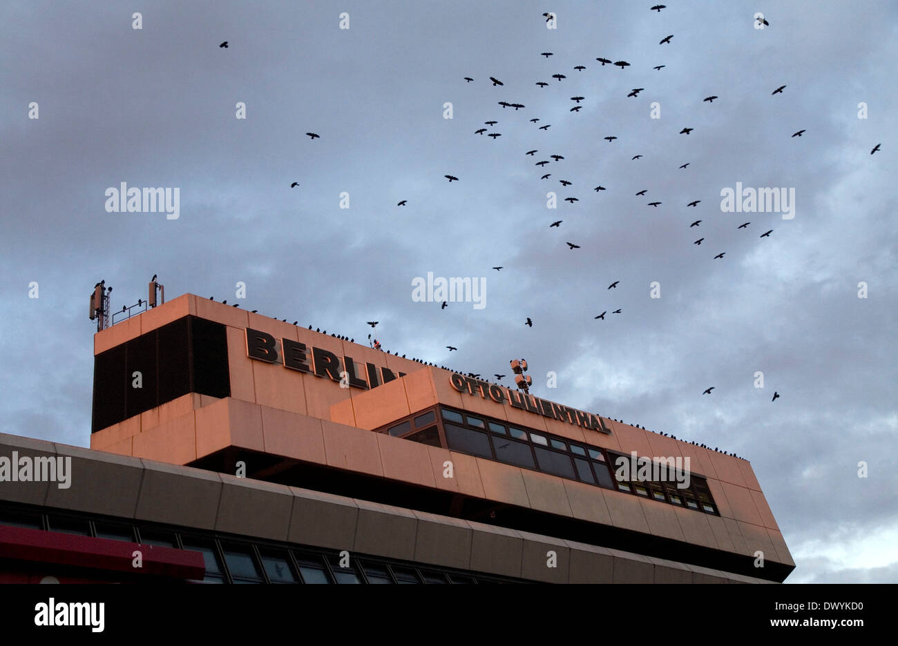 Otto Lilienthal Airport Foto Stock