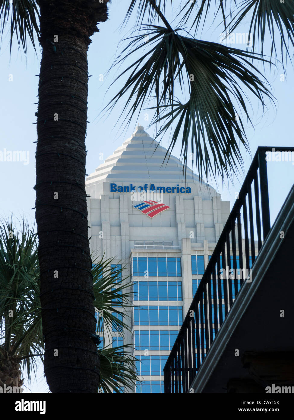 Bank of America Building, incorniciato da palme, centro di Fort Lauderdale, FL, Stati Uniti d'America Foto Stock