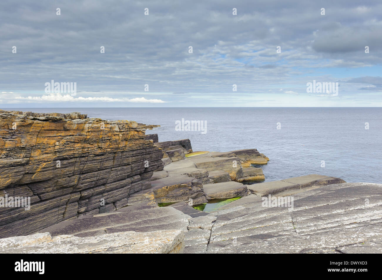 Strati di rocce di arenaria sulla costa a Wick, Caithness, a nord della Scozia. Foto Stock