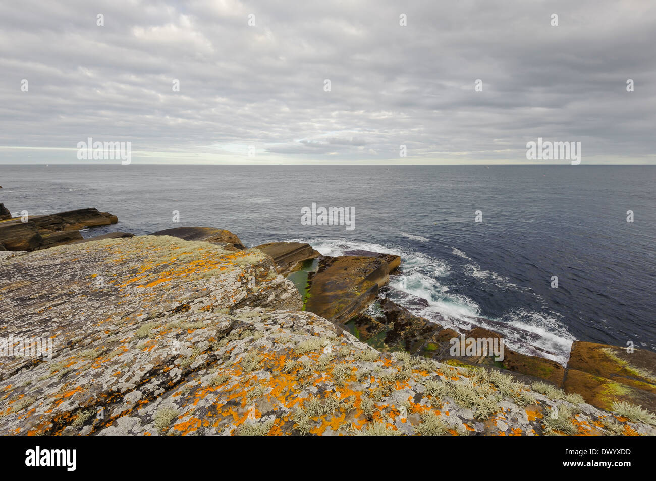 Strati di rocce di arenaria con un lichene sulla costa a Wick, Caithness, a nord della Scozia. Foto Stock