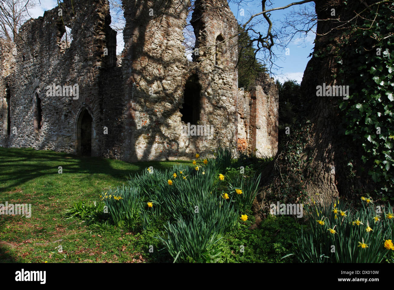 Netley Abbey resti in primavera Foto Stock