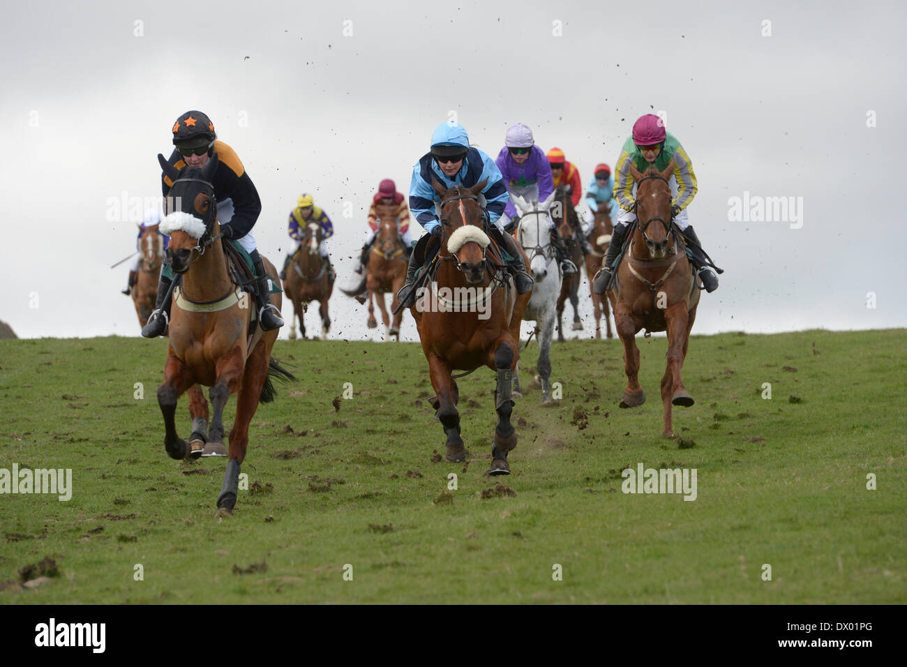 Kelso, Regno Unito. - 15/Mar/2014 : Frati Haugh Duca di Buccleuch punto-2-punto Caption: jockey è fuori sul corso in Brewin Dolphin Ladies Open Race Credit: Rob grigio/Alamy Live News Foto Stock