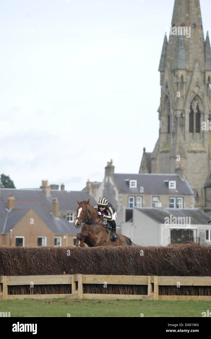 Kelso, Regno Unito. - 15/Mar/2014 : Frati Haugh Duca di Buccleuch punto-2-punto didascalia: un fantino sul corso cancella un recinto in 3pm gara, la mens Lycetts Open Race Credit: Rob grigio/Alamy Live News Foto Stock