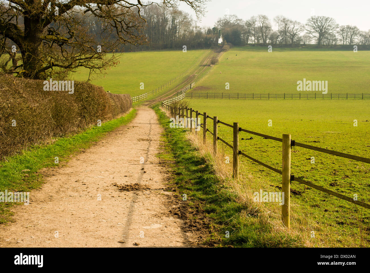 Primavera soleggiata vista di un paese lane e i campi nei pressi di fondo Trowley, Hertfordshire, Inghilterra, Regno Unito. Foto Stock