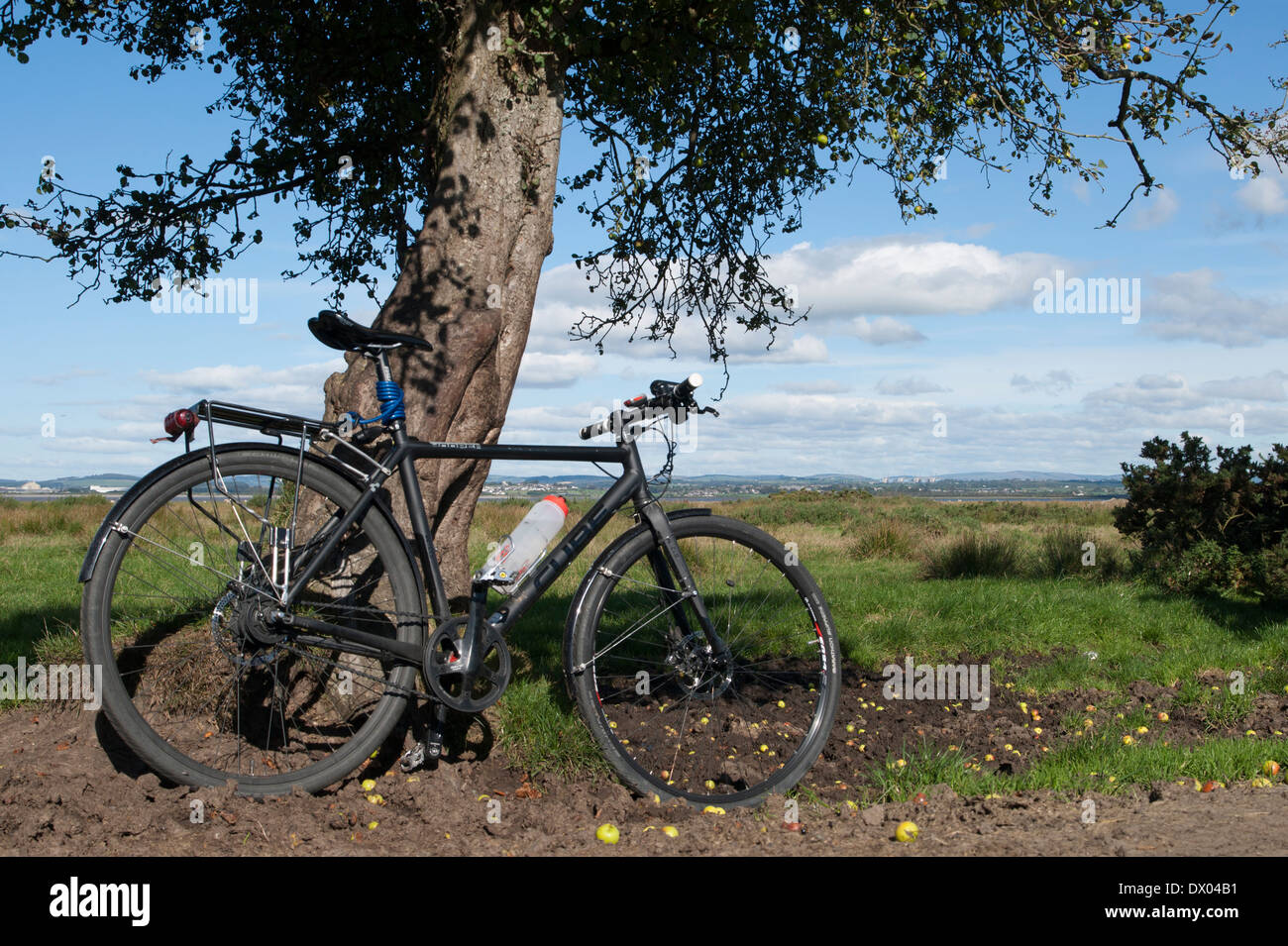 Un nero touring bike appoggiata contro un albero di mele in Cumbria, in una giornata di sole. Foto Stock