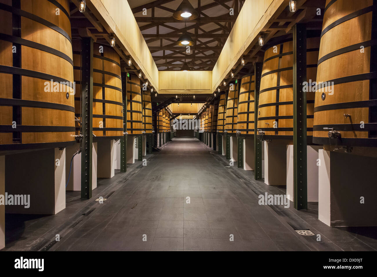 Chateau Mouton Rothschild Foto Stock