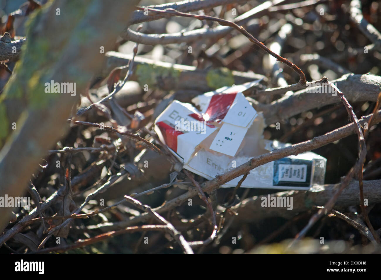Scartare il pacchetto di sigarette in una riserva naturale a Weymouth,Dorset. Foto Stock
